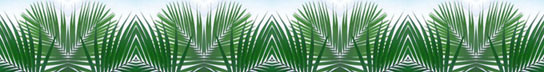 New Cross Natural Frond