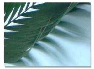 New Cross Natural Therapy Acupuncture